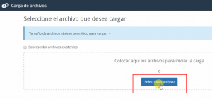 wordpres search console