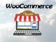 atributos woocommerce tutorial