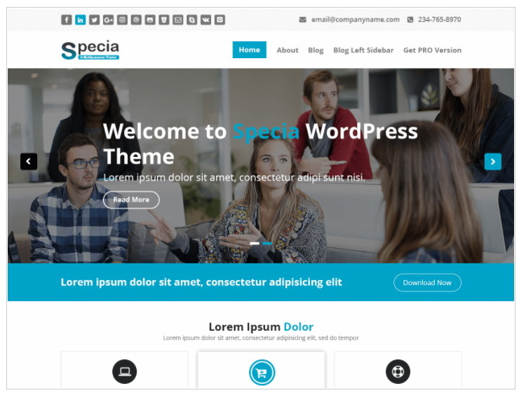 tema curso wordpress yeabit