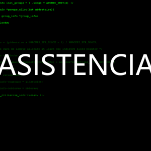 Asistencia Informática Remota